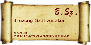 Brezsny Szilveszter névjegykártya